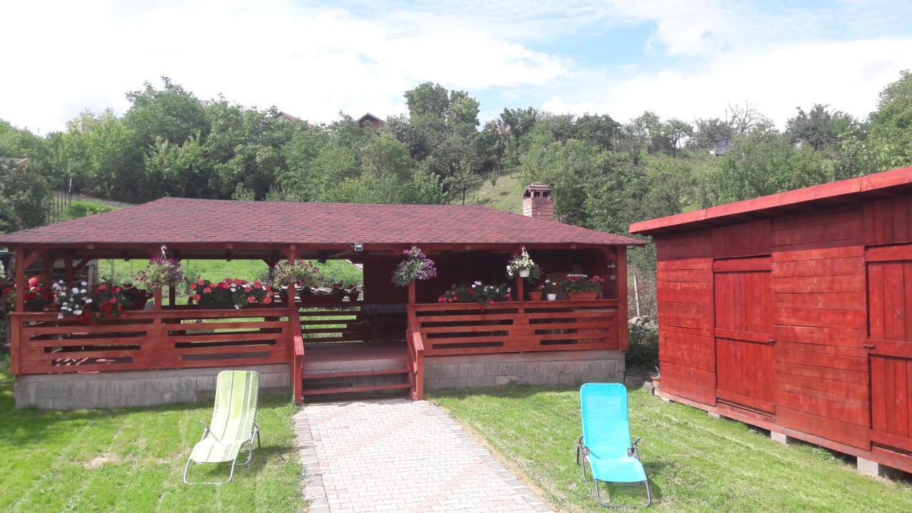 Casa Anamaria Villa Turda Exteriör bild