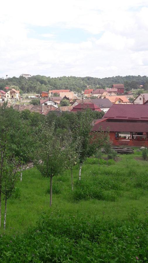 Casa Anamaria Villa Turda Exteriör bild