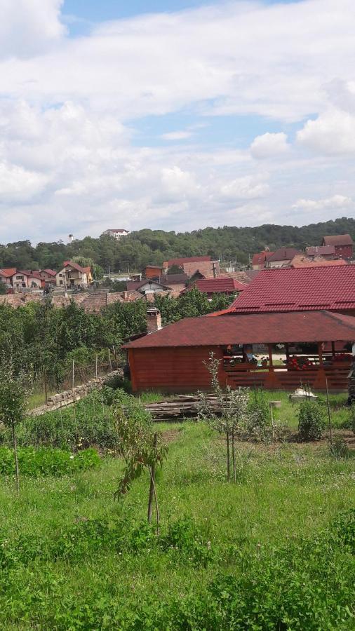 Casa Anamaria Villa Turda Exteriör bild